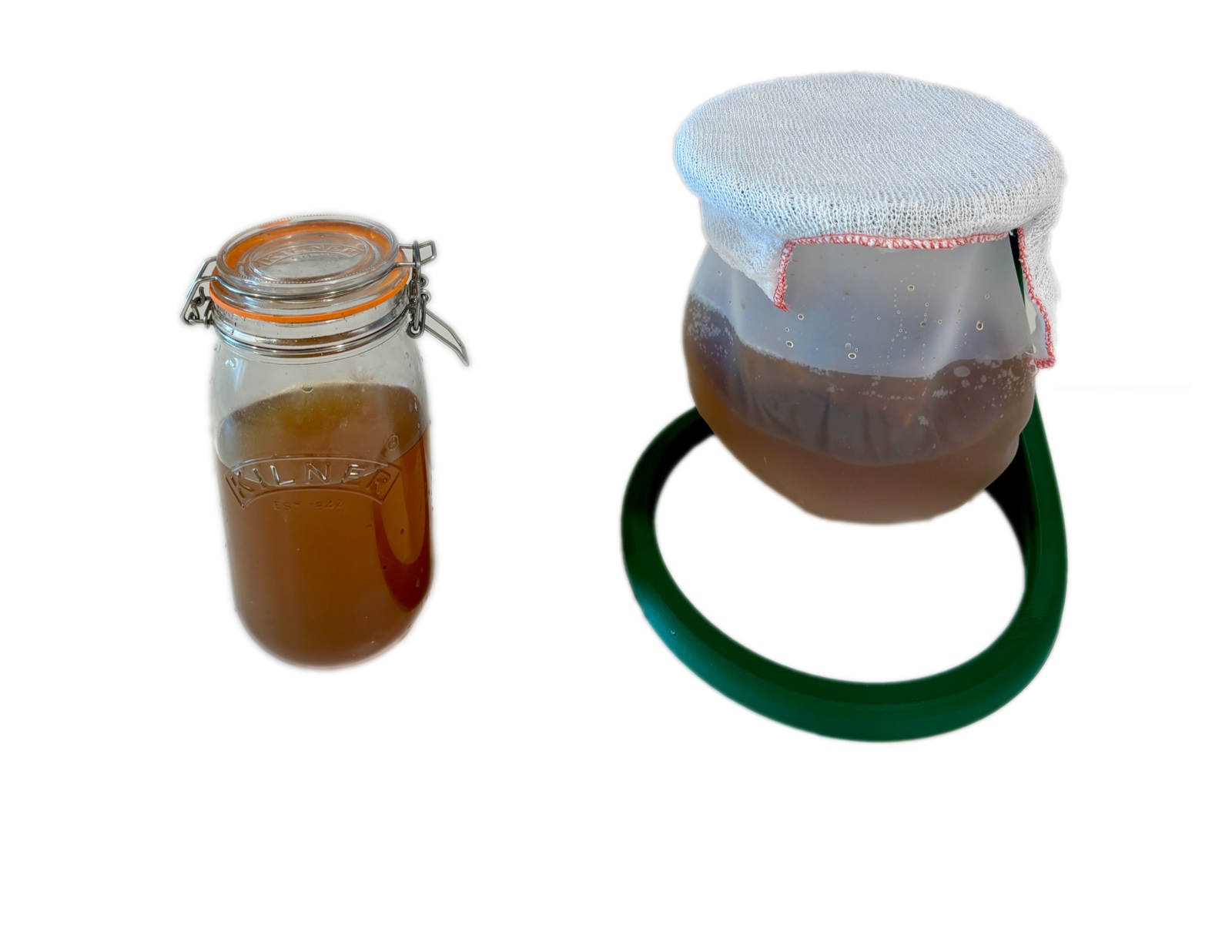 Bacterial cellulose specimens — culture starter jar and grown SCOBY ready for moulding