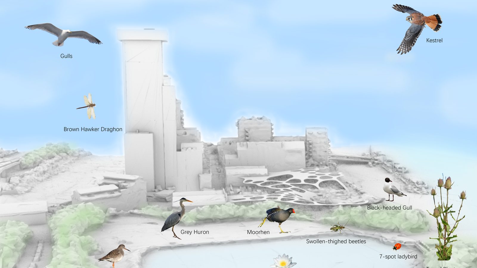 Thames Iron Works ecology map — existing plant species and habitat zones overlaid on the site