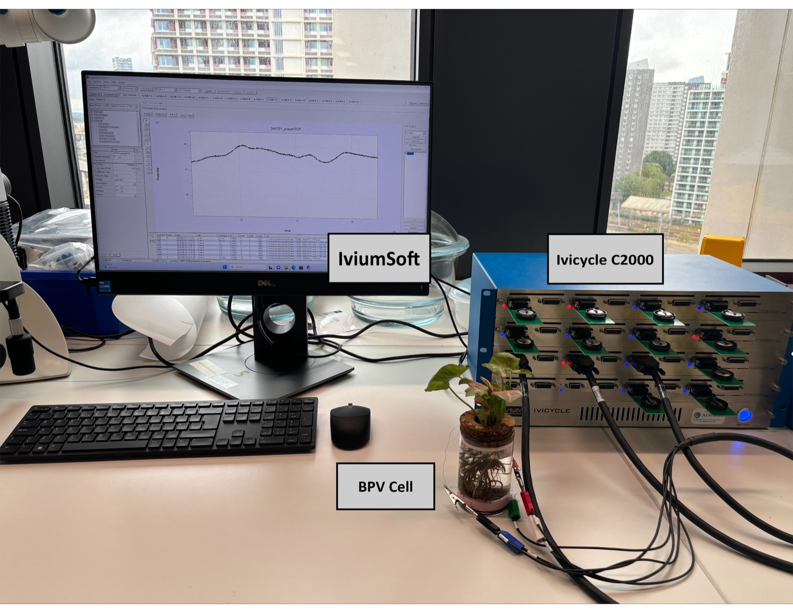 OCP test bench — Dell monitor running IviumSoft, Ivicycle C2000 potentiostat, and an HBPV cell connected up under daylight