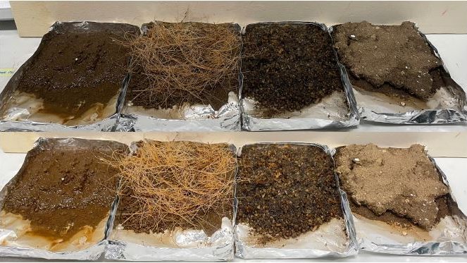 Soil-tray testing — substrates with varying fibre and binder mixes
