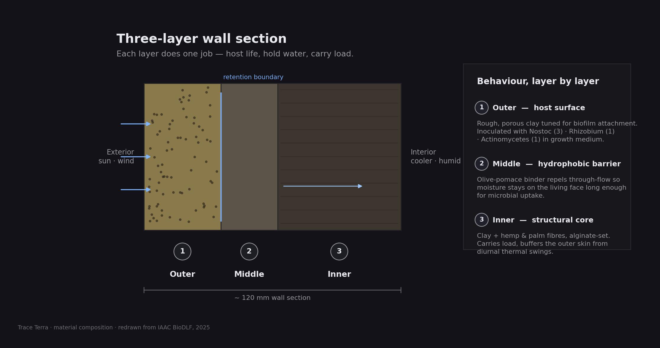 Three-layer wall-section diagram — outer microbial host surface, middle hydrophobic barrier, inner structural core with water-flow arrows and retention boundary